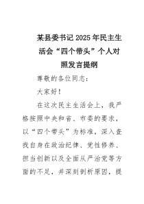 某县委书记2025年民主生活会“四个带头”个人对照发言提纲9篇（详细版）