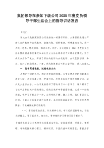 集团领导在参加下级公司2025年度党员领导干部生活会上的指导讲话发言