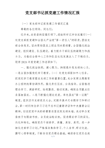 党支部书记抓党建工作情况汇报