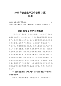 2025年安全生产工作总结（2篇）