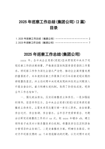 2025年巡察工作总结（集团公司）（2篇）