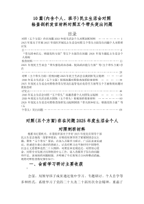 2025年度民主生活会“带头敬畏人民、敬畏组织、敬畏法纪方面”等五个方面存在问题对照发言提纲