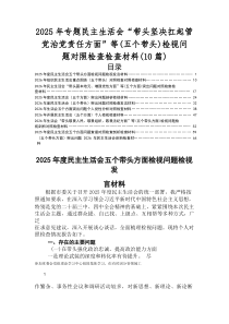 2025年度民主生活会五个带头方面检视问题党性分析检视材料