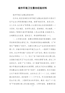 城市环境卫生整治经验材料