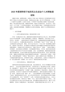 2025年度领导班子成员民主生活会个人对照检查材料