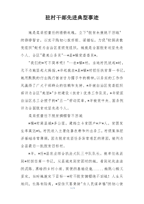 驻村干部先进典型事迹