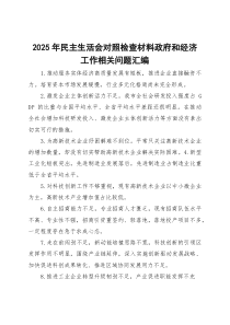 2025年民主生活会对照检查材料政府和经济工作相关问题汇编