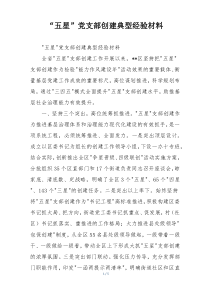 “五星”党支部创建典型经验材料