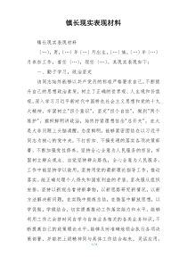 镇长现实表现材料