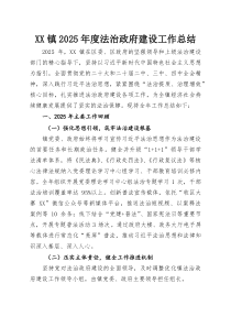 XX镇2025年度法治政府建设工作总结
