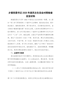 乡镇党委书记2025年度民主生活会对照检查发言材料