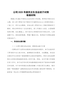 公司2025年度民主生活会班子对照检查材料(五个带头)