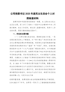 公司党委书记2025年度民主生活会个人对照检查材料