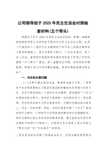 公司领导班子2025年民主生活会对照检查材料（五个带头）