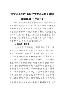 区审计局2025年度民主生活会班子对照检查材料（五个带头）