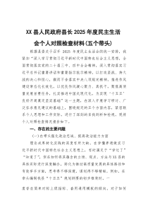 县人民政府县长2025年度民主生活会个人对照检查材料（五个带头）