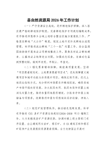 县自然资源局2026年工作计划