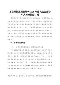 县自然资源局副局长2025年度民主生活会个人对照检查材料