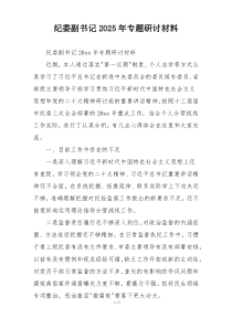 纪委副书记2025年专题研讨材料