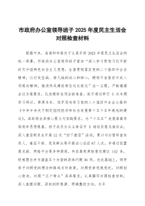 市政府办公室领导班子2025年度民主生活会对照检查材料（含案例剖析）