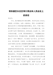 常务副区长在区审计局全体人员会议上的讲话