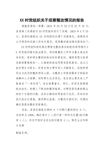 村党组织关于巡察整改情况的报告