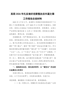 某局2026年扎实做好巡察整改后半篇文章工作报告总结材料