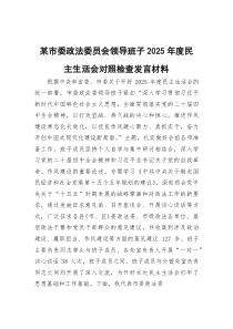 某市委政法委员会领导班子2025年度民主生活会对照检查发言材料