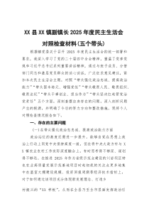 镇副镇长2025年度民主生活会对照检查材料（五个带头）