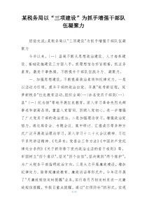 某税务局以“三项建设”为抓手增强干部队伍凝聚力