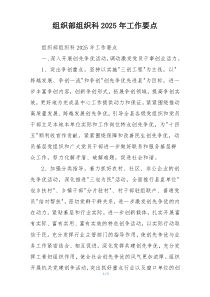 组织部组织科2025年工作要点
