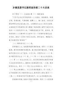 乡镇党委书记接受宣传部二十大访谈