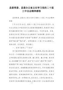 县委常委、县委办公室主任学习党的二十届三中全会精神感悟