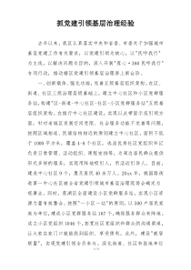 抓党建引领基层治理经验