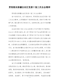 贯彻落实新疆自治区党委十届三次全会精神