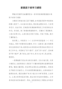 新提拔干部学习感悟