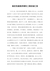 基层党建提质增效工程经验汇报