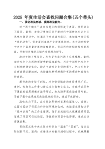 2025年度生活会查找问题合集（五个带头）