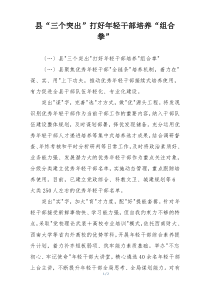 县“三个突出”打好年轻干部培养“组合拳”