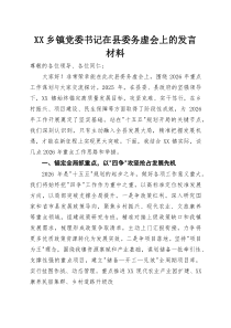 XX乡镇党委书记在县委务虚会上的发言材料