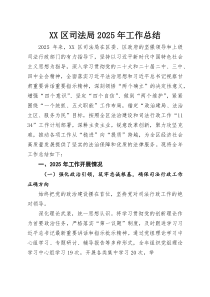 XX区司法局2025年工作总结