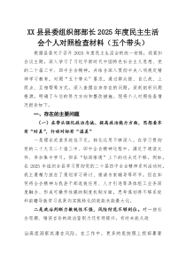 XX县县委组织部部长2025年度民主生活会个人对照检查材料（五个带头）