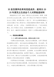 XX县发展和改革局党组成员、副局长2025年度民主生活会个人对照检查材料