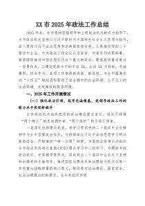XX市2025年政法工作总结