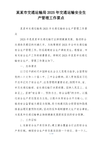 某某市交通运输局2025年交通运输安全生产管理工作要点