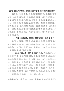XX镇2025年度关于发展壮大村级集体经济的经验材料