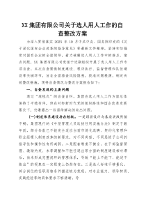 XX集团有限公司关于选人用人工作的自查整改方案