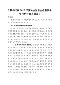 X镇书记在2025年度民主生活会会前集中学习研讨会上的发言