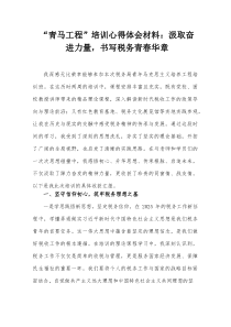“青马工程”培训心得体会材料：汲取奋进力量，书写税务青春华章