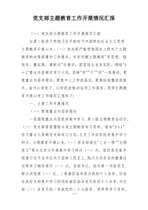 党支部主题教育工作开展情况汇报